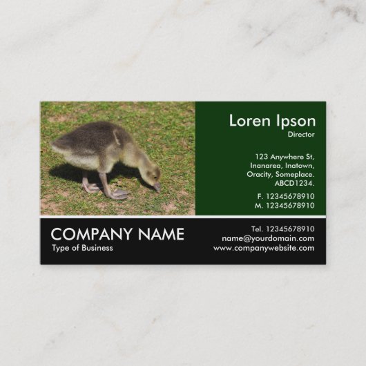 Foto van Footed - Gosling Visitekaartje (Voorkant)