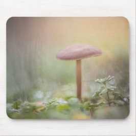 Foto van Forest Mushroom Natuur Muismat