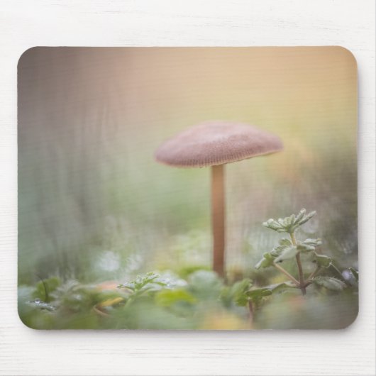 Foto van Forest Mushroom Natuur Muismat (Voorkant)