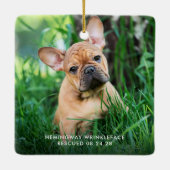 Foto van Forever Home First Kerstset Rescue Foto Keramisch Ornament (Achterkant)
