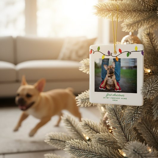 Foto van Forever Home First Kerstset Rescue Foto Keramisch Ornament