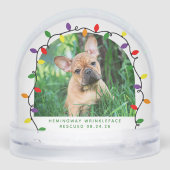 Foto van Forever Home First Kerstset Rescue Foto Sneeuwbol (Achterkant)