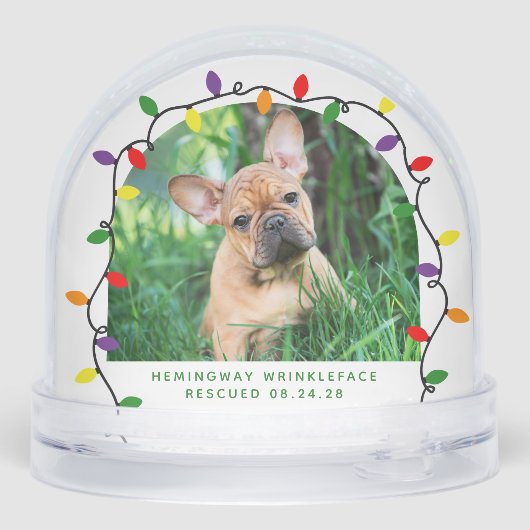 Foto van Forever Home First Kerstset Rescue Foto Sneeuwbol (Achterkant)