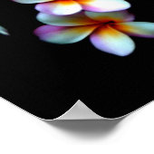 foto van frangipani poster (Hoek)