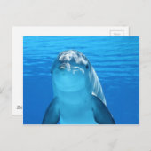 Foto van Friendly Dolphin Briefkaart (Voorkant / Achterkant)