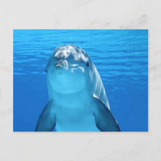 Foto van Friendly Dolphin Briefkaart (Voorkant)