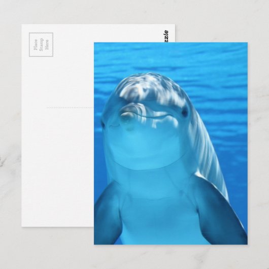 Foto van Friendly Dolphin Briefkaart (Voorkant / Achterkant)