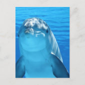 Foto van Friendly Dolphin Briefkaart (Voorkant)