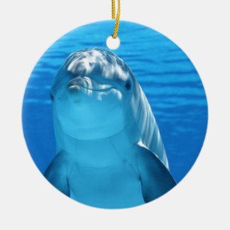 Foto van Friendly Dolphin Keramisch Ornament