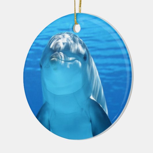 Foto van Friendly Dolphin Keramisch Ornament (Links)