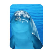 Foto van Friendly Dolphin Magneet (Verticaal)