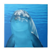 Foto van Friendly Dolphin Tegeltje (Voorkant)
