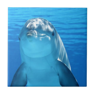 Foto van Friendly Dolphin Tegeltje