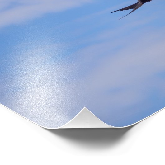 Foto van frietkolibrie afdruk (Hoek)