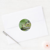 Foto van Frog Green Lily Pad Ronde Sticker (Envelop)