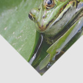Foto van Frog Green Lily Pad Tissuepapier (Detail)