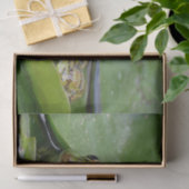 Foto van Frog Green Lily Pad Tissuepapier (Geschenk)