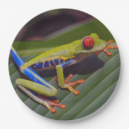 Foto van Frog Red Eye Papieren Bordje
