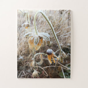 Foto van Frost Wilde Rudbeckia Flowers Legpuzzel