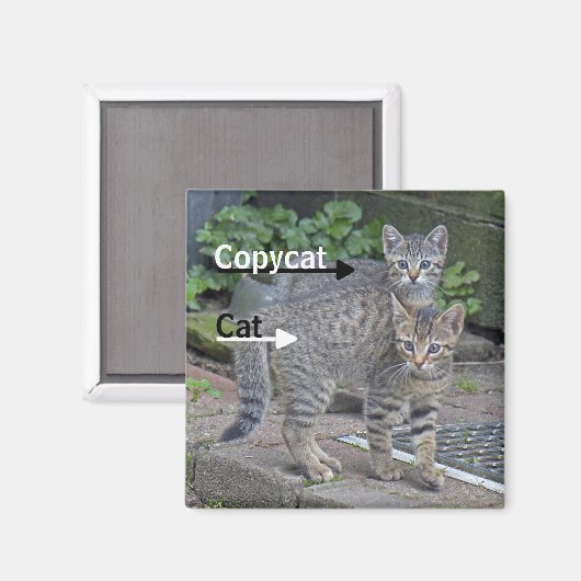Foto van Funny Cat en Copycat Magneet (Voorkant / Achterkant)