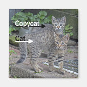 Foto van Funny Cat en Copycat Magneet (Voorkant)