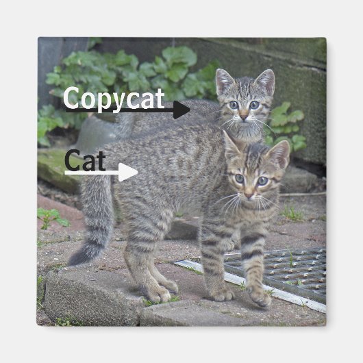 Foto van Funny Cat en Copycat Magneet (Voorkant)
