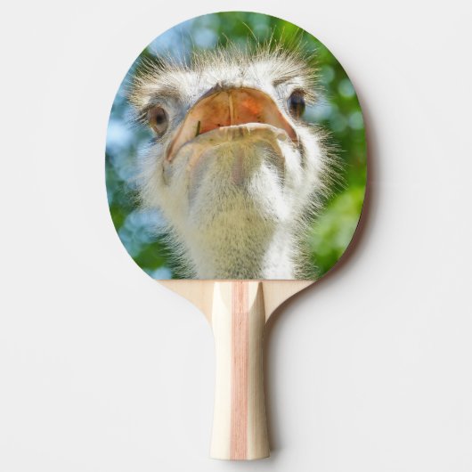 Foto van Funny Ostrich Animal Tafeltennisbatje (Voorkant)