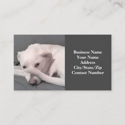 Foto van Funny White Dog met Tail op Face Grey Visitekaartje (Voorkant)