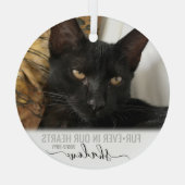 Foto van FurEver in ons hart Memorial Pet Glas Ornament (Achterkant)