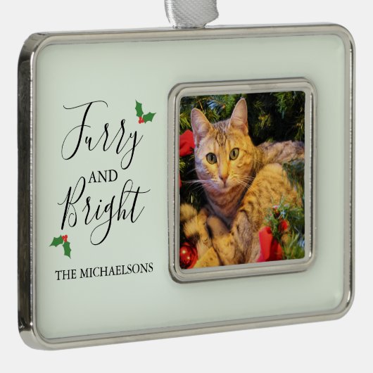 Foto van furry en Bright Pet Verzilverd Omlijst Ornament (Rechts)