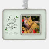 Foto van furry en Bright Pet Verzilverd Omlijst Ornament (Voorkant)