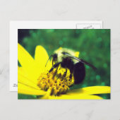 Foto van Fuzzy Bumblebee Briefkaart (Voorkant / Achterkant)