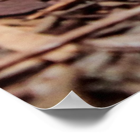 Foto van Gaboon Viper Snake Poster (Hoek)