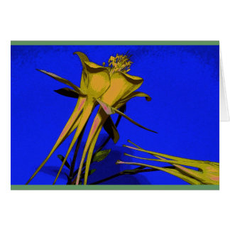 Foto van gele columbine