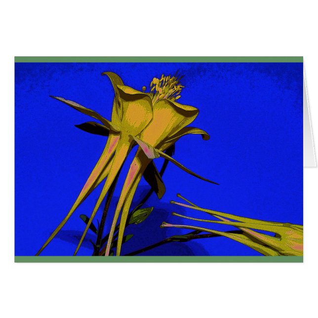 Foto van gele columbine (Voorkant Horizontaal)