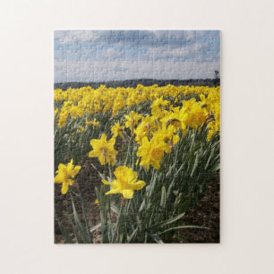 Foto van gele deffodils legpuzzel