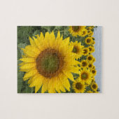 Foto van Gele Zonnebloemen Natuur Legpuzzel (Horizontaal)