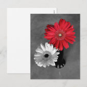 Foto van Gerber-margriet met kleurspatten in het r Briefkaart (Voorkant / Achterkant)