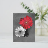 Foto van Gerber-margriet met kleurspatten in het r Briefkaart (Staand voorkant)