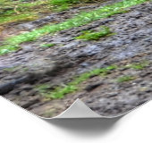 Foto van gespiriteerde speelse kastanjeRanch Horse Poster (Hoek)