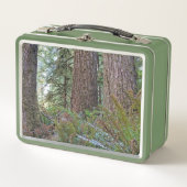 Foto van Giant Conifer Forest (Voorkant)