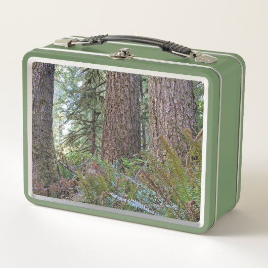 Foto van Giant Conifer Forest (Voorkant)