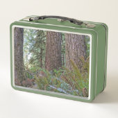 Foto van Giant Conifer Forest (Achterkant)