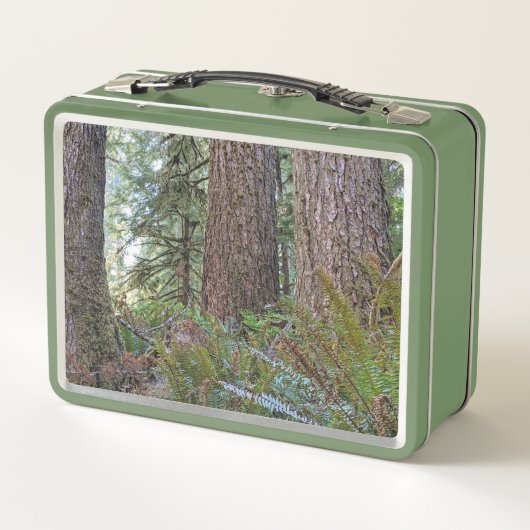 Foto van Giant Conifer Forest (Achterkant)