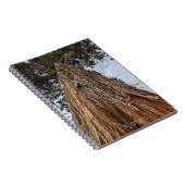 Foto van Giant Sequoia Notitieboek (Rechterzijde)