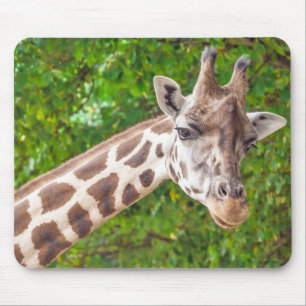 Foto van Giraffe Animal Portrait Muismat
