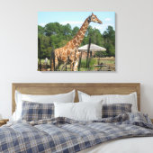 foto van giraffe Rhonda Patton Canvas Afdrukken (Insitu (Slaapkamer))