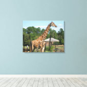 foto van giraffe Rhonda Patton Canvas Afdrukken (Insitu (Houten vloer))