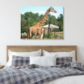foto van giraffe Rhonda Patton Canvas Afdrukken (Insitu (Slaapkamer))