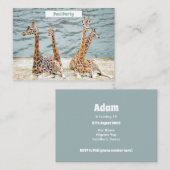 Foto van Giraffe Water Fun - Vier Giraffes Notitiekaartje (Voorkant / Achterkant)